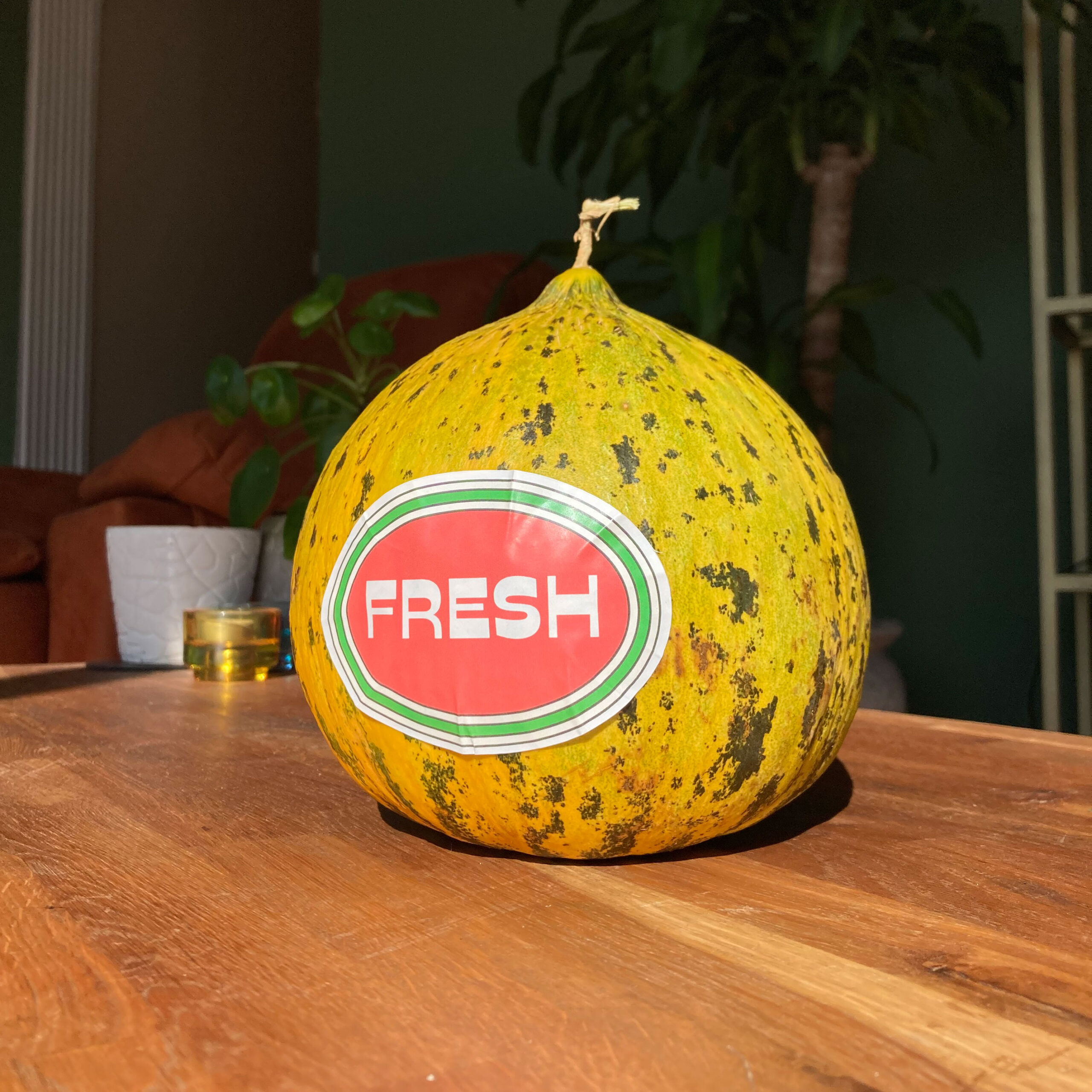 Oval Sticker Etiketler